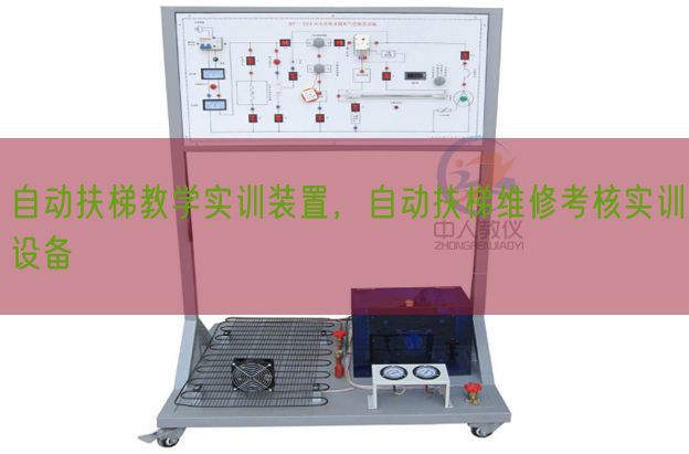 自動扶梯教學實訓裝置，自動扶梯維修考核實訓設備(圖1)