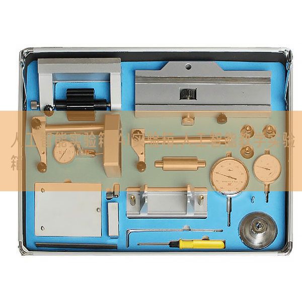 人工智能實驗箱,AI實驗箱,人工智能教學(xué)實驗箱(圖1)