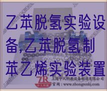 乙苯脫氫實驗設(shè)備,乙苯脫氫制苯乙烯實驗裝置(圖1)