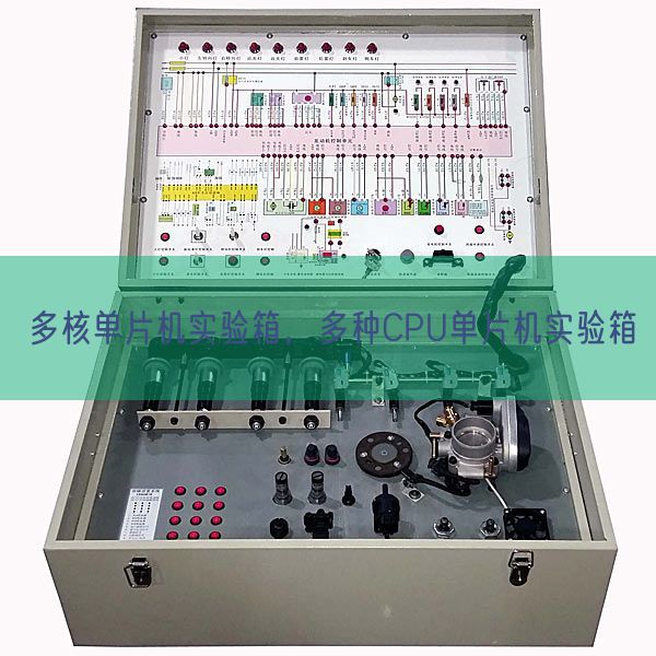 多核單片機實驗箱，多種CPU單片機實驗箱(圖1)
