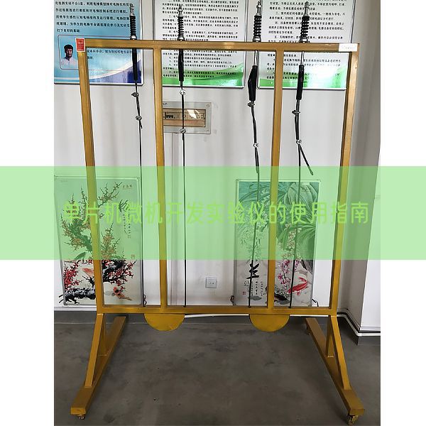 單片機微機開發實驗儀的使用指南(圖1)