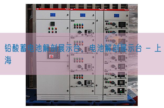 鉛酸蓄電池解剖展示臺，電池解剖展示臺 - 上海(圖1)